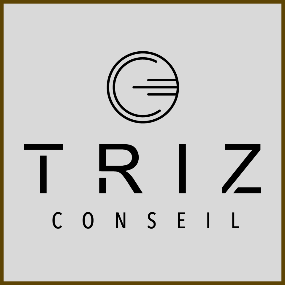 Triz Conseil